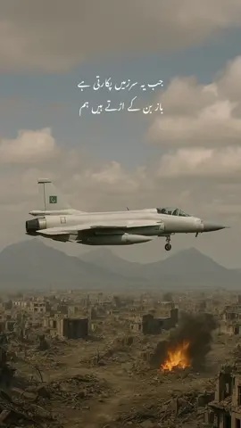 king of the sky 🇵🇰✈️💪 #creatorsearchinsights  #fy #tiktok #foryoupage #viral #fypシ゚ #trending #fyp #foryou #capcut 