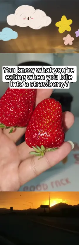 Regret not finding it earlier! The foldable draining basket keeps my kitchen clean and saves space—saving money with every use! #YikyokHomeMagic #FoldableDrainerTreasure #KitchenSpaceSaver #MoneySavingGenius #USHousewifeEssential #HomeOrganizingMustHave