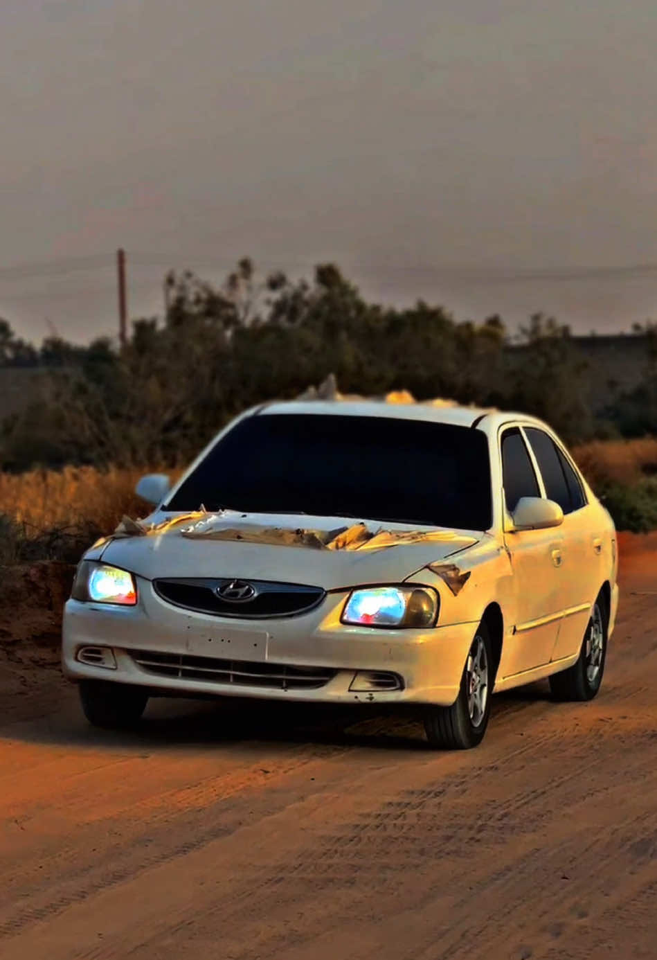 وتبغيني طاير 🔥✈️! #بودبوس #مصراته_الصمود🇱🇾🇱🇾🔥😌 #libya🇱🇾 #فيرنا_شعار_لايعرف_القانون🗡🔥 #الحديقه_المركزيه_مصراته #مصراته #مصراتة 