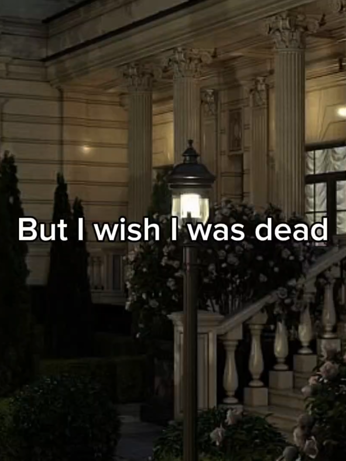 #lyrics #song #music #fyp #fypシ゚ #lanadelrey #qerscv 