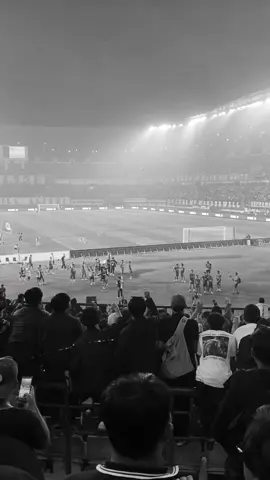 #southside #bobotoh #1933 #persibbandung 