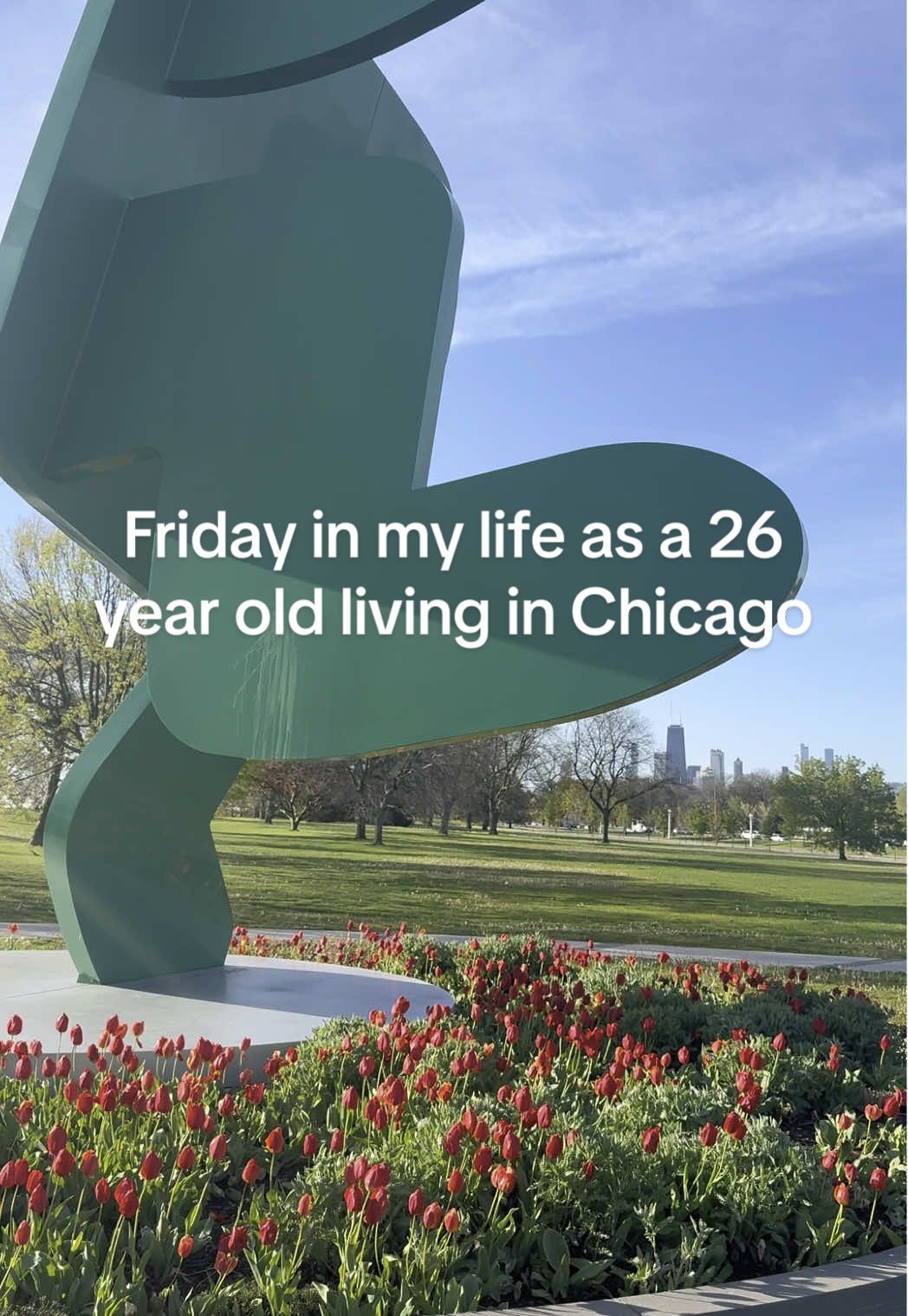 if you have not watched past lives this is your sign #diml #chicago 