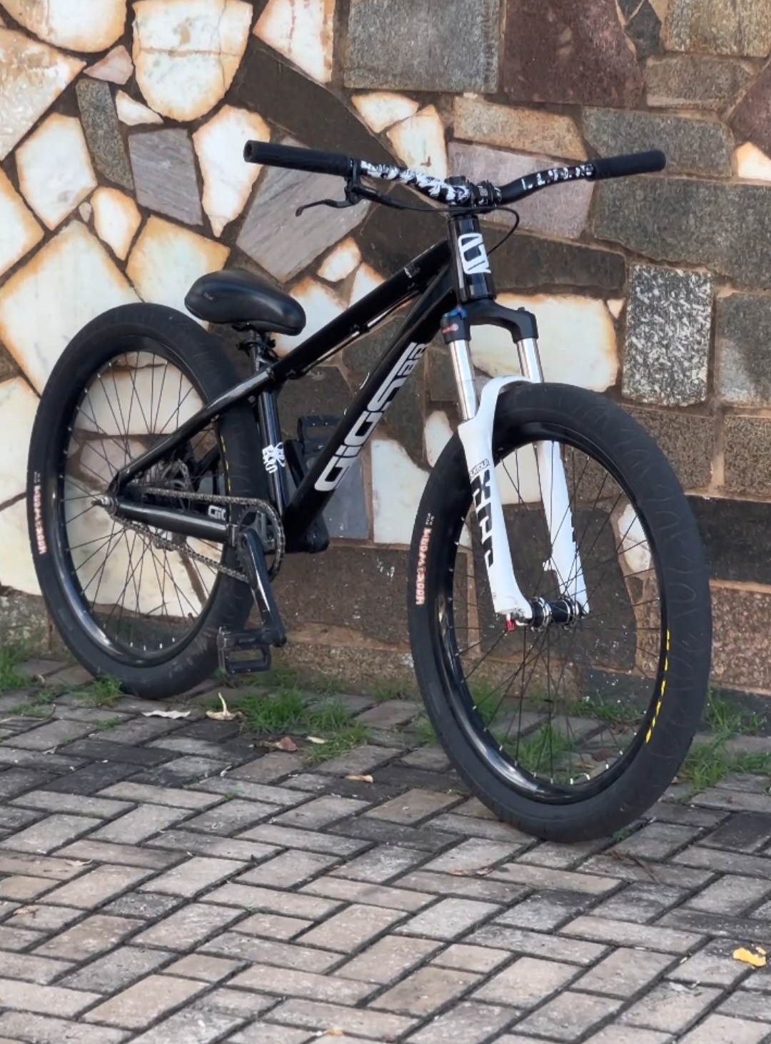 🖤😈#viral_video #244 #fyp #244naoécrime #giosdj #giosdjpreta #hupinaja #graudebike #explore #viking #viralvideos #bicicleta 