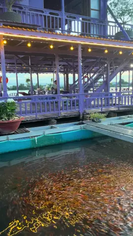 #làng_bè_màu_tím_Cần_Thơ  Một điểm chill chill cho ai muốn yên tĩnh, thoáng mát, thơ mộng. Bè tím Cồn Sơn phục vụ khách tham quan, câu cá giải trí, có phục vụ ăn uống, giải khát nhẹ nhàng. Cuối tuần rồi, mình cùng nghỉ ngơi thôi nào 🥰