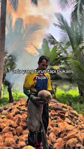 udahh yaa jangan turun lagii#kelapa #fyp #lakitangguhpengejarrupiah😎😎 