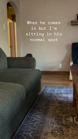 😳🙄💨 Download Pawmates: The pet owner social network. Link in Bio • Credit: @duderdood  #dogstagram #meetup #puppylife 