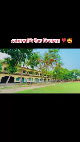 #নোয়াকান্দি উচ্চ বিদ্যালয় #নোয়াকান্দি_উচ্চ_বিদ্যালয় #viral #foryou