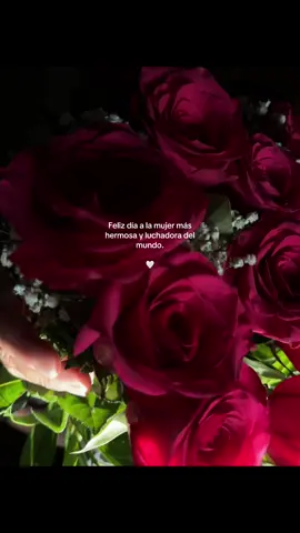 ♥️♥️♥️♥️ #diadelasmadres #mama #10demayo #parati #paratii #amor #frasesparadedicar #fyp #fypシ 