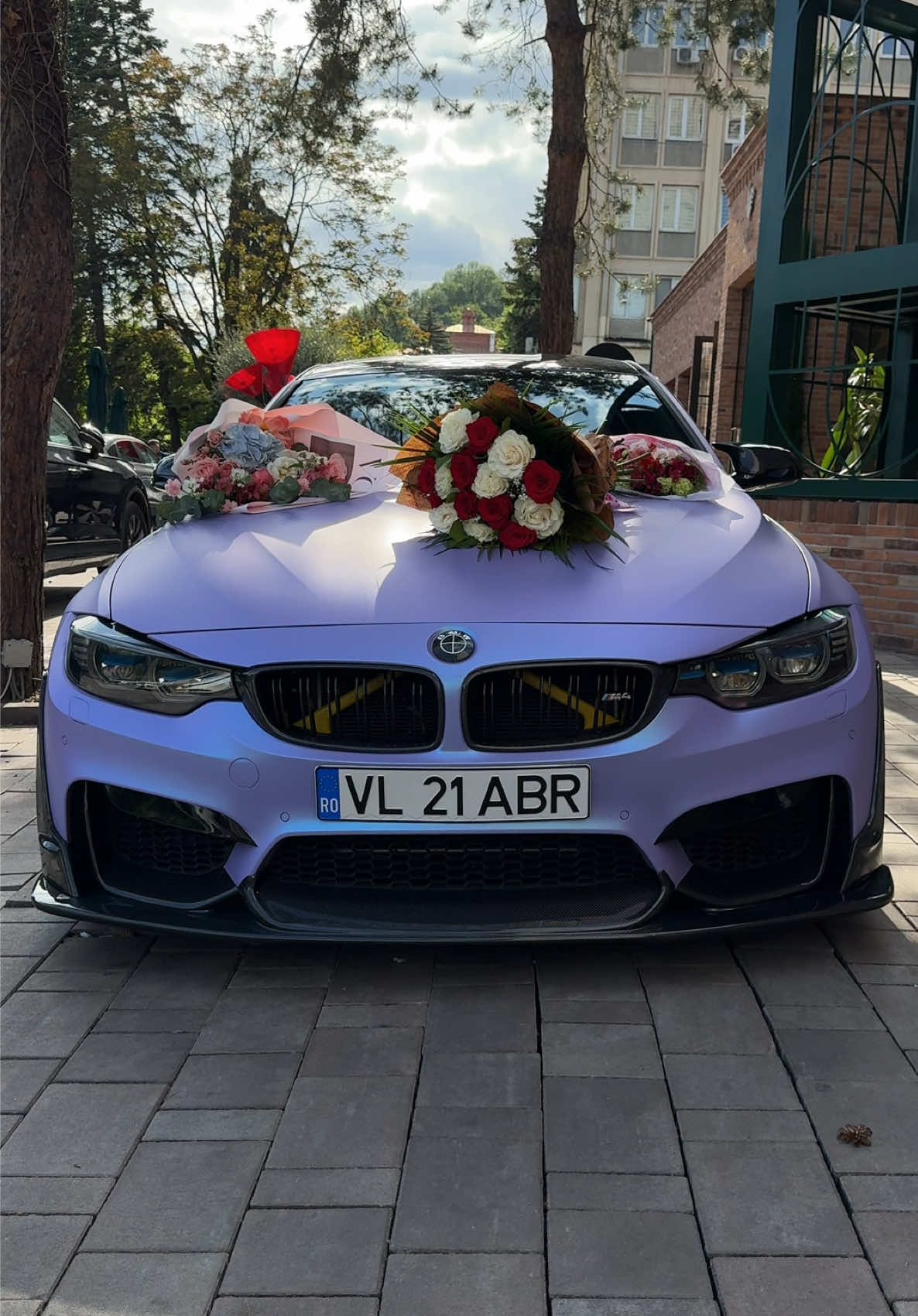 🌹❤️ @alexia.lazar_ 