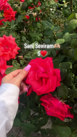 #S #♥️ 