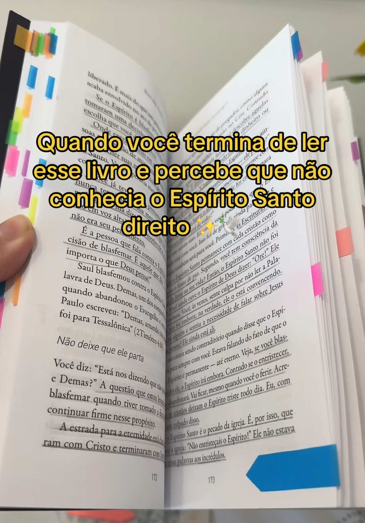 Leiam esse livro e tenham um encontro com o Espírito Santo ✨🥹  #BookTok #avivamento #bookclub #leituracristã #bomdiaespiritosanto #cristao #indicacaodelivros #cristaosnotiktok #tiktokcristao #cristã #espiritosanto #Deus #Jesus 