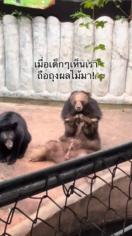 อยู่กรุงเทพหรือจังหวัดใกล้เคียงไม่รู้จะไปเที่ยวไหน แวะไปหาเด็กๆได้นะคะ มีสัตว์เยอะแยะะเลยค่ะที่นี้ #สวนสัตว์ #ฟาร์มจระเข้สมุทรปราการ #zoo #สัตว์เลี้ยงtiktok #แพนด้า 