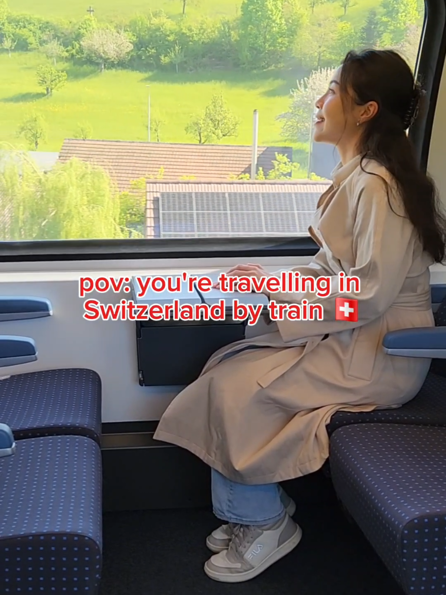 deciding which side to sit on a 🇨🇭 train is the hardest decision because both are serving 😮‍💨😮‍💨