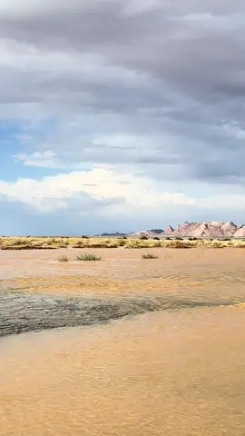 #اكسبلورexplore #قطن #عقله_الصقور 