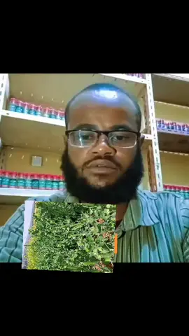 #ethiopian_tik_tok🇪🇹🇪🇹🇪🇹🇪🇹 #oromotiktok #musilim☪️🕋🕌💘 #LIVEIncentiveProgram #LIVERewards #PaidPartnership 