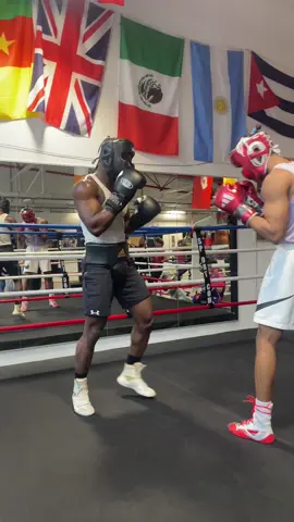 Sparing avec le bro #sparring #boxing🥊 #sportdecombat #jesus #fyp #boxeanglaise #championboxeanglaise #100k #100k 