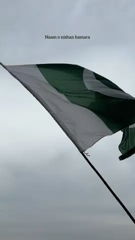 Jab tak hai dunia baqi ham dekhen azaad tujhe 🇵🇰💚 . . . . . #explore #relatable #viral #fyp #pakistanzindabad 