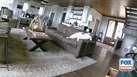 DID YOU FEEL IT?: Video captured a 4.1-magnitude earthquake in Tennessee shaking a home for several seconds in northern Georgia. Let us know in the comments if you felt the shaking and where you were.