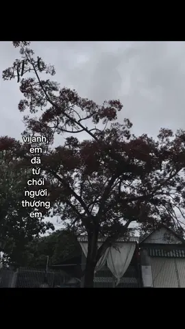 😕#xuhuongtiktok #fyp #xh #? 