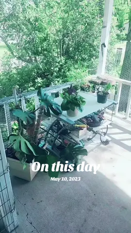 #onthisday