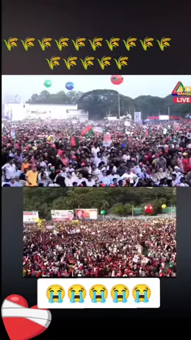 #CapCut #foryou #tiktokbd #🇧🇭🇧🇩💝🌹 