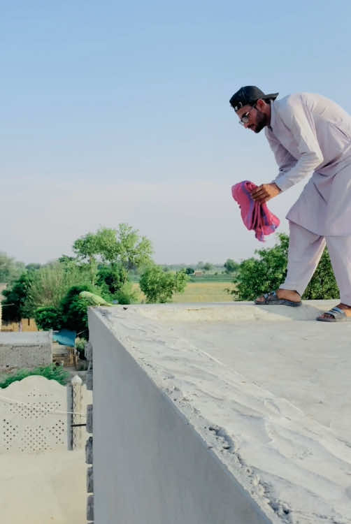 Parrot Ko Pakra #parrot #parrotlover #parrotvideo #pets #gabbarpethouse @Rehman Ch Vlogs 