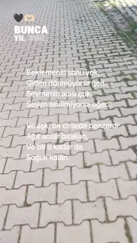 #CapCut #aşk #sevmek #sevgi #beklemek #şair #şiir 