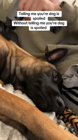 Queen treatment for Nala