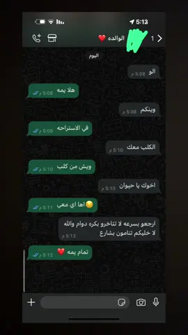 #نجيب #fyp #السعوديه🇸🇦💚 #اليمن__إب 