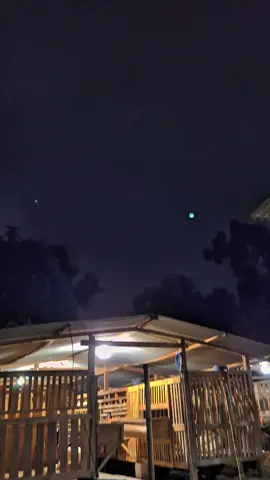 vibes malem minggu gak udan ji🦦#fypシ #kambingetawa #peternakkambingindonesia 