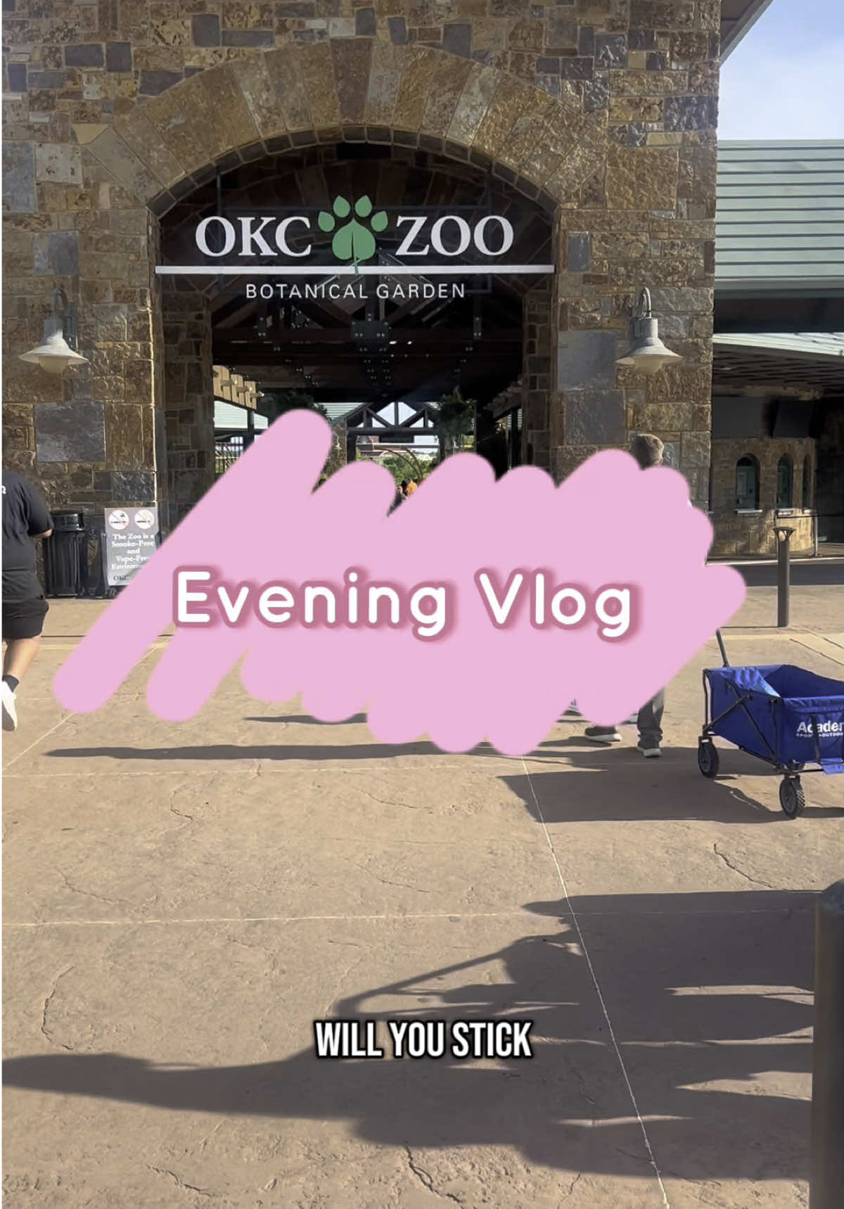 No meltdowns at the zoo? A win. #creatorsearchinsights ##sahmlife##momvlog##fyp##dayinmylife##eveningvlog##momlifeunfiltered##watchtillend