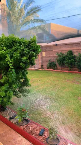 #typ #CapCut #foryou #fyp #اكسبلورexplore #الشعب_الصيني_ماله_حل😂😂 #بيتي_مملكتي #بيتي #بيتي 