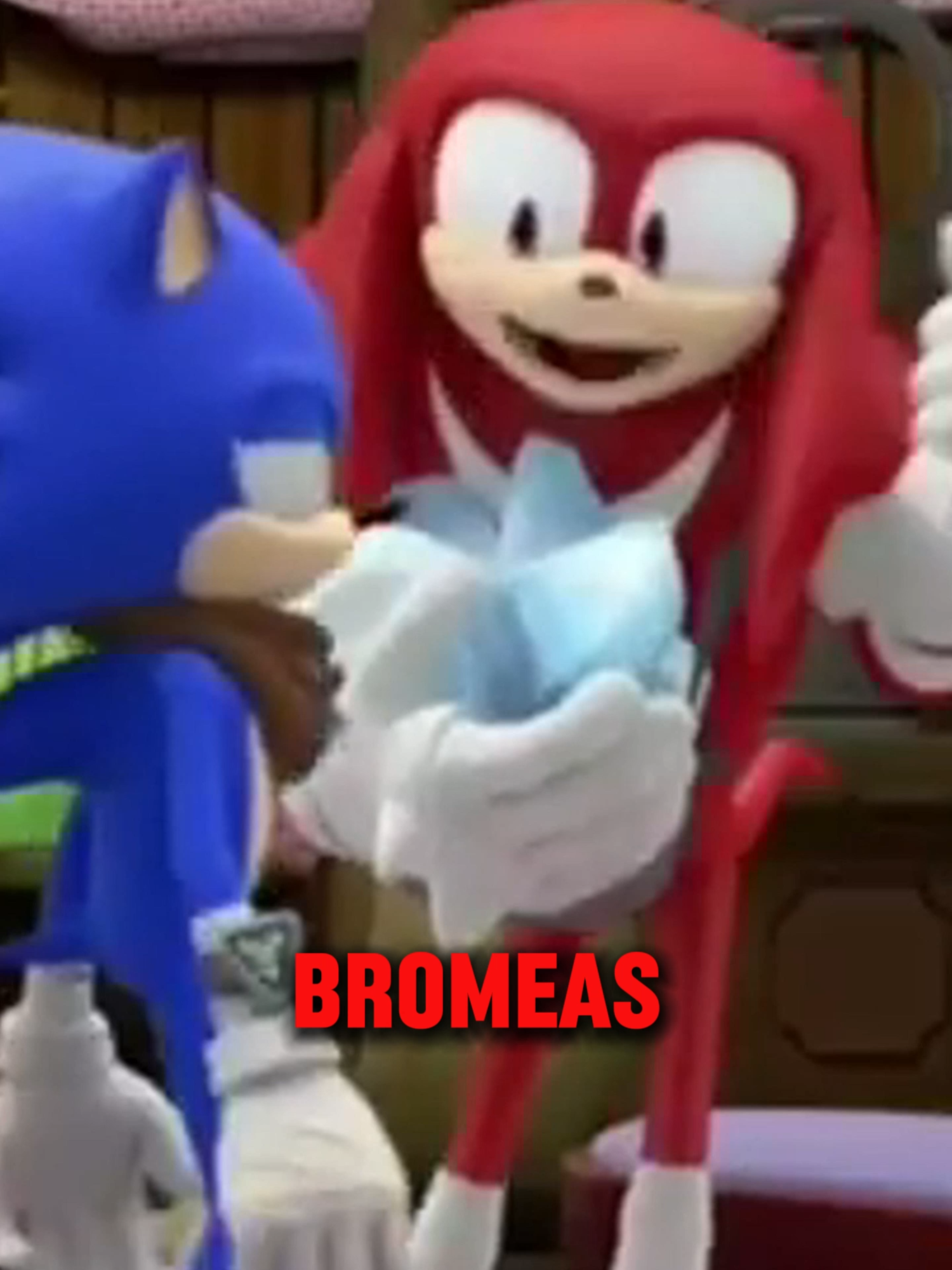 Amy pierde su chamba #sonic #comedia #sonamy💙💖 #actuacion #sonamy #amyrose #shitpost #repo #terror #knuckles #sonicthehedgehog #sonicboom