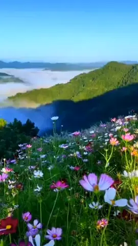 #scenery 