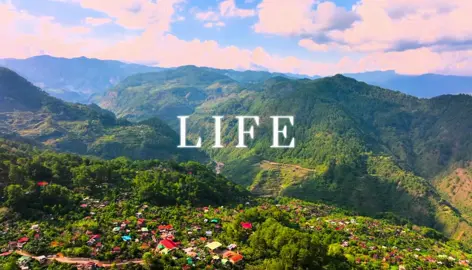 The Beauty Of Life #nature #life #edit #fyp #viral 