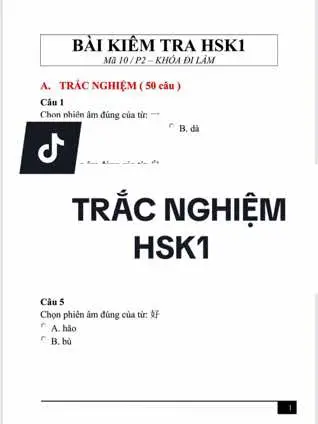 Bài tập trắc nghiệm, tự luận, luyện dịch HSK 1 (Kèm đáp án) #hoctiengtrung #tiengtrung #viral #xh #tuhoctiengtrung #fyp #hsk #hsk1 