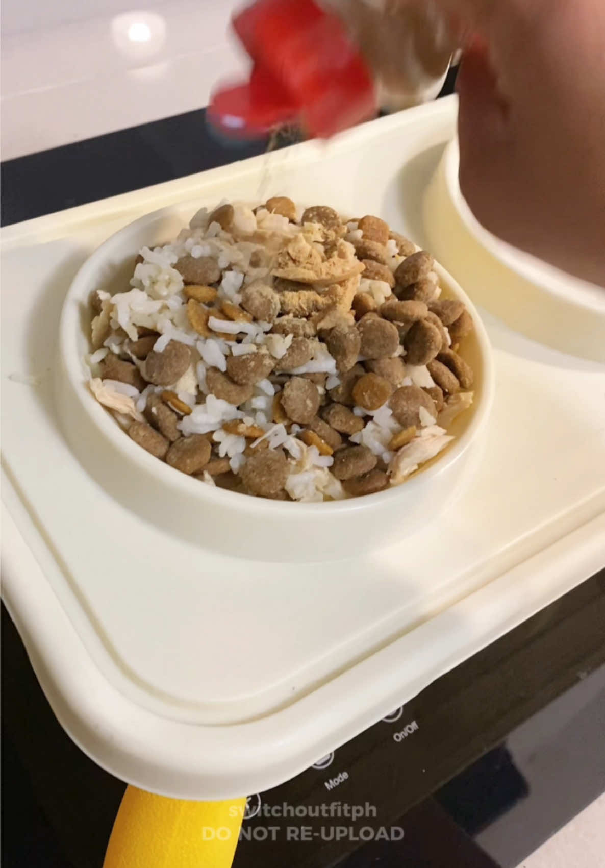 Most affordable elevated pet bowl na nakita ko here sa tiktok 🥰 #petfeeder #petbowl #petfoodbowl #dogbowl #elevatedpetbowl #dogwaterbowl #fyp #switchoutfitph 