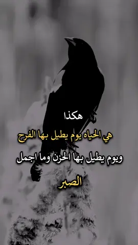 #افضل_عبارة_لها_تثييت #عباراتكم_الفخمه🦋🖤🖇 #عبارات_جميلة_وقويه😉🖤 