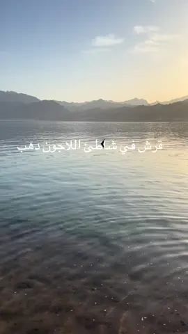 #دهب 