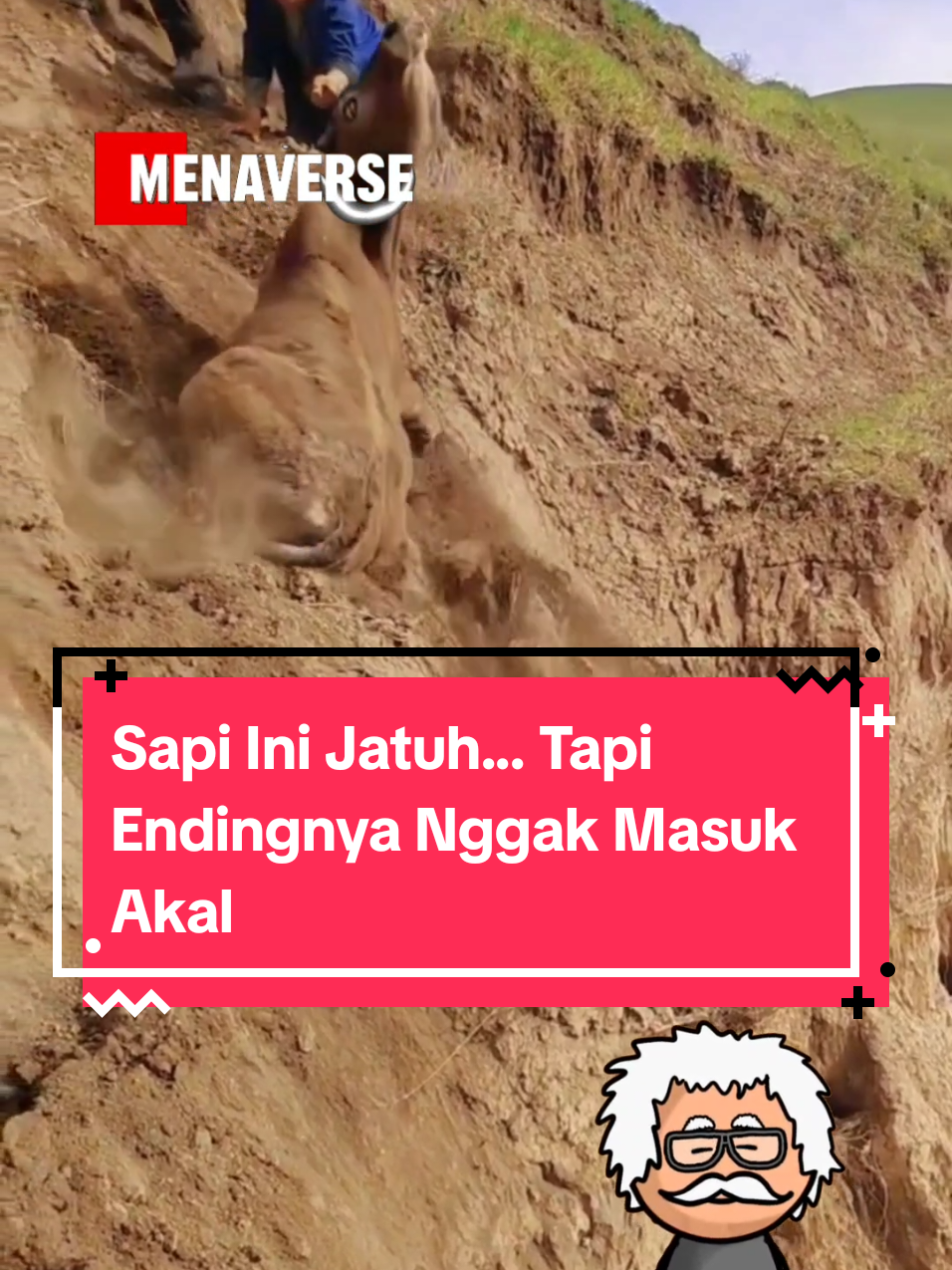 Sapi ini nyaris hilang ditelan jurang setelah longsor. Saat ditarik, ia tergelincir dan jatuh bebas! Tapi saat semua pasrah… keajaiban terjadi! #SapiJatuh #JurangLongsor #SapiTangguh #ViralSapi #DetikDetikJatuh #KejadianNyata #SapiSelamat #VideoViral #Ajaib #HewanKuat 