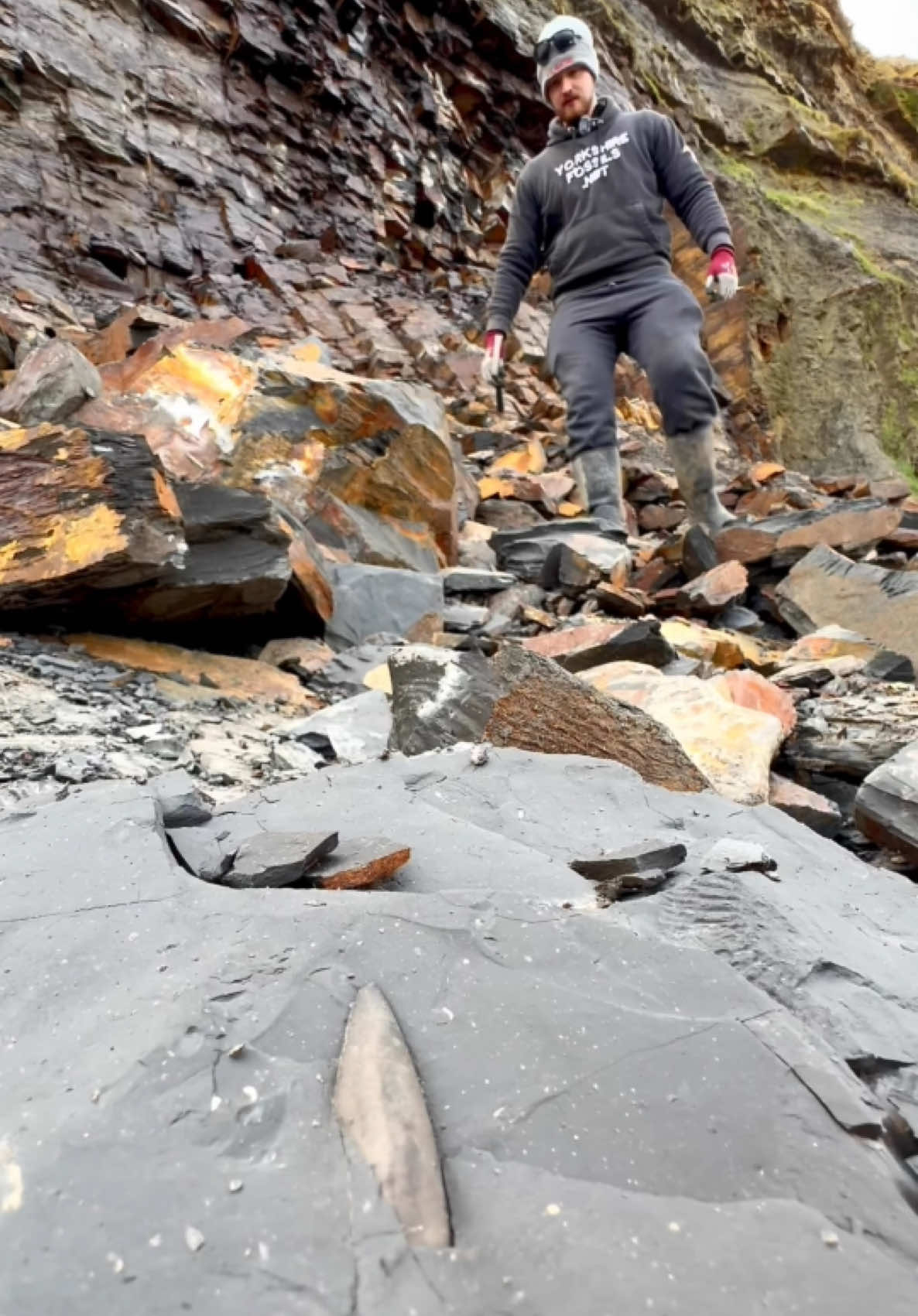 Exposing a perfect Jurassic Belemnite (Squid-like creature) which was in a large loose shale slab hidden within lots of beach pebbles 🦑🦑 This is the ‘Belemnite Guard’, which was the tough inner part of the belemnite 🏝 The soft tissue rarely preserved properly, however many great examples have been found in other parts of the world 🌎 Thank you in advance for supporting our page! 🐊 #natural #nature #fossil #fossils #ancient #animals #art #ammonite #ammonites #dinosaur #scientist  #minerals #paleontology #whitby #geologist #dorset #geology #charmouth #jurassic #yorkshire #fyp