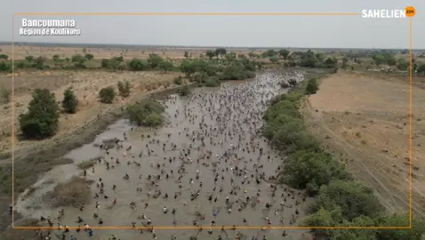 Mali : le revers de l'extraction de l'or par dragage à Bancoumana 1️⃣/2️⃣ #malitiktok🇲🇱 itiktok🇲🇱 #Koulikoro #Bancoumana #Pêchecollective #pêche #Orpaillage #Dragage #Sahel #pourtoi 