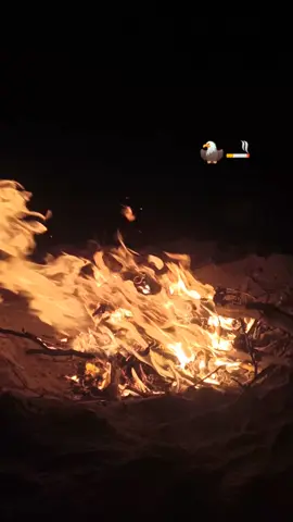 @mevlüt👊🏼🖐 @Muzaffer🪬  @🦁💛❤🏆GALATASARAY🏆❤💛🦁 @konyali679 @ł̇Ɽ₣₳₦ ₴ØɎⱠɄɆⱤ 