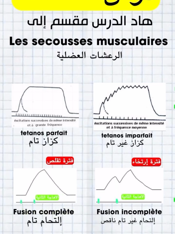 Muscle درس العضلة  2 bac  #creatorsearchinsights #follow #muscle #fyp 