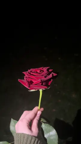 #fyp #❤️ #🥰🥰🥰🥰❤️❤️❤️ #🌹🌹🌹🌹🌹🌹🌹🌹🌹🌹🌹🌹 