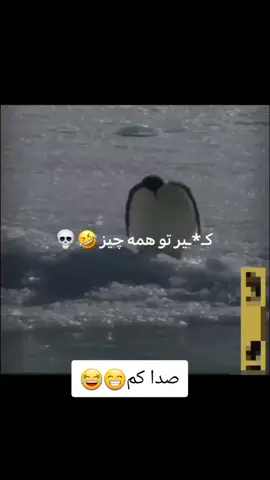 فالو یادت نره😁