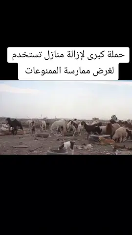 حملة كبرى لإزالة منازل تستخدم لغرض ممارسة الممنوعات #