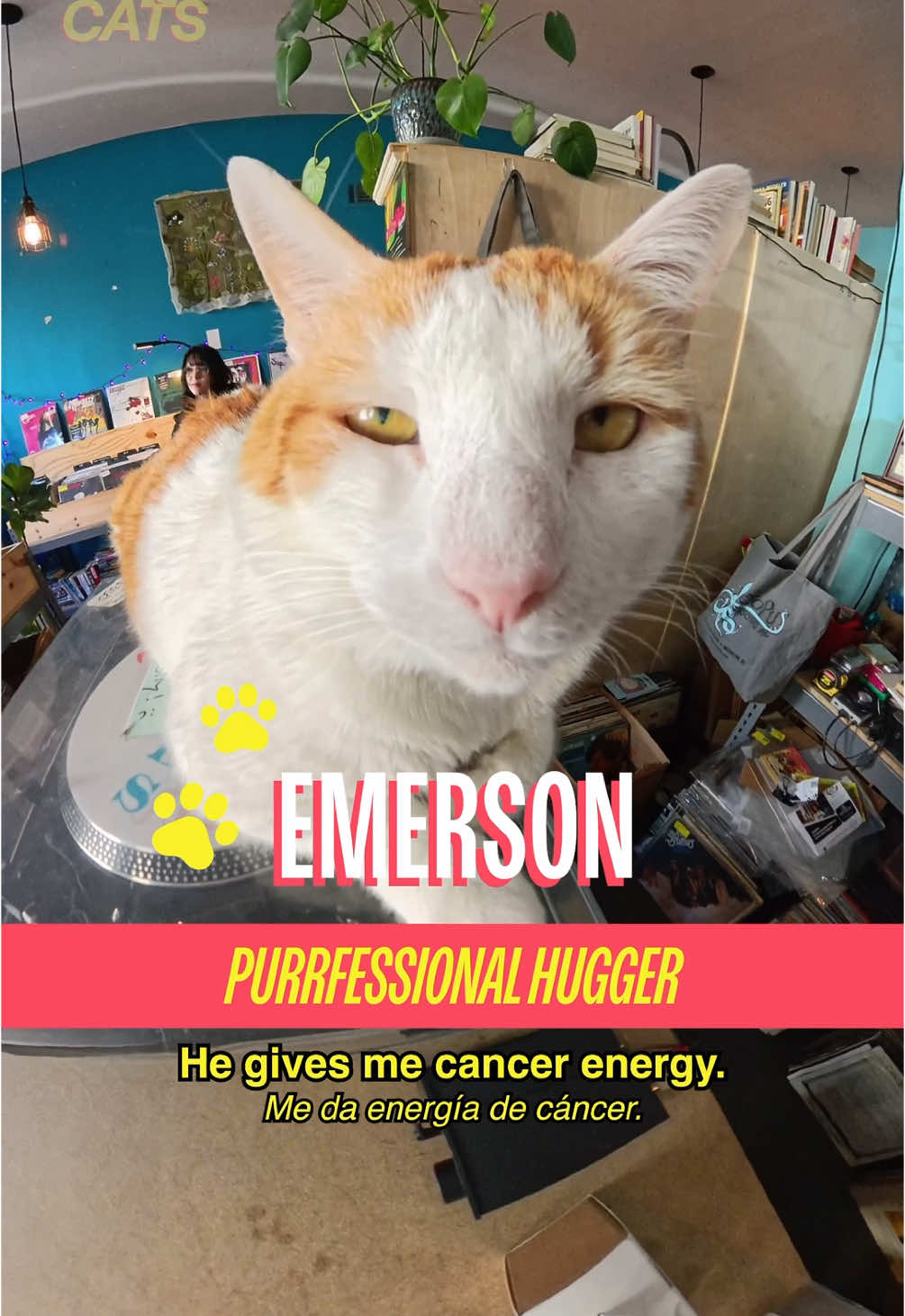 Meet Emerson & Sushi in Bushwick Emerson & Sushi know what’s up, and they’re not gatekeeping—@smallsforcats is the good stuff. Use code SHOPCATS for 50% off your first box of Smalls. Host: @MICHELLADONNA  Producer/DP: Drew Rosenthal (@Be Happy For Once) Editors: Drew Rosenthal & Sean Fitzmaurice Graphic Design: Alex Mi AE: Ryan Novak Translator: Sabrina Sanchez Stylist: @xiomara  PA: Vivienne S A show by @madrealities.tv  #cat #nyc #brooklyn #recordstore #shopcats #smallspartner
