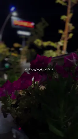 انا مشتاق للوصل وعتابك .. 😔♥️ @