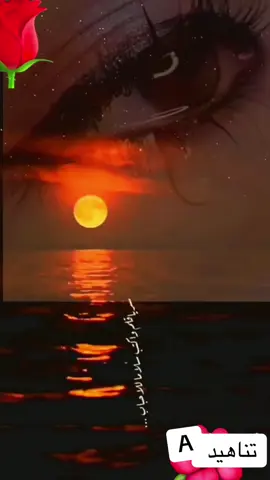 #في هذا اليوم 